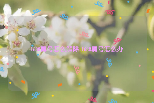 1688黑号怎么解除-1688黑号怎么办