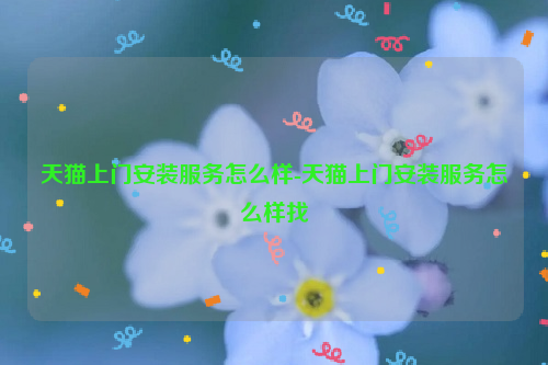 天猫上门安装服务怎么样-天猫上门安装服务怎么样找