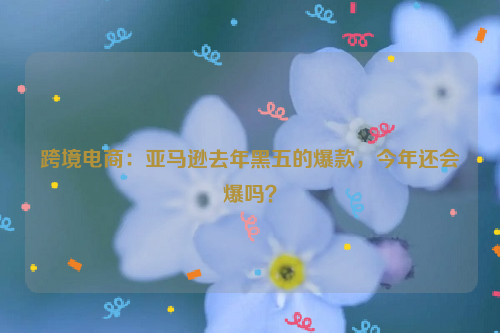 跨境电商：亚马逊去年黑五的爆款，今年还会爆吗？