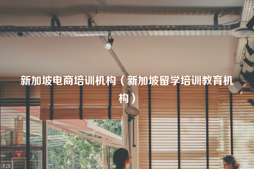 新加坡电商培训机构(新加坡留学培训教育机构)