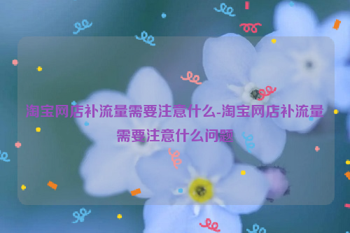淘宝网店补流量需要注意什么-淘宝网店补流量需要注意什么问题