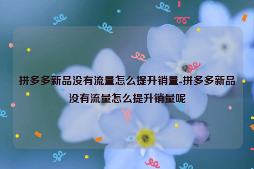 拼多多新品没有流量怎么提升销量-拼多多新品没有流量怎么提升销量呢
