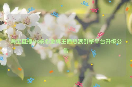 淘宝直播618核心金牌主播热浪引擎平台升级公告