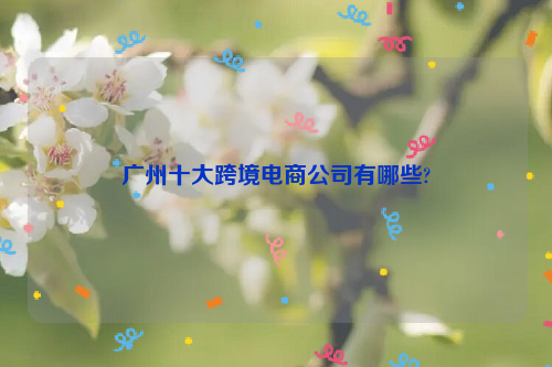 广州十大跨境电商公司有哪些?