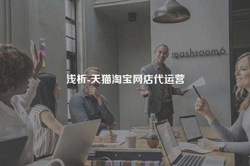 浅析-天猫淘宝网店代运营