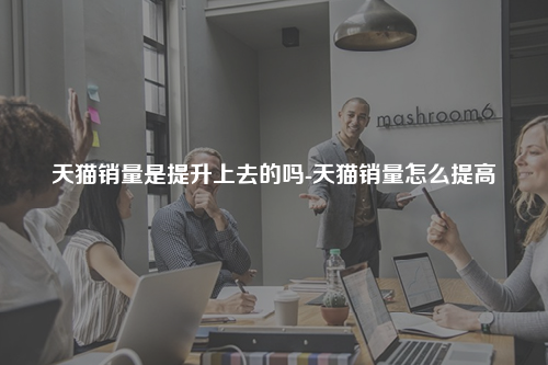 天猫销量是提升上去的吗-天猫销量怎么提高