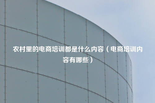 农村里的电商培训都是什么内容(电商培训内容有哪些)