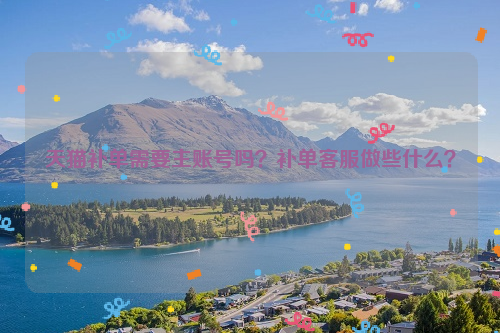 天猫补单需要主账号吗？补单客服做些什么？