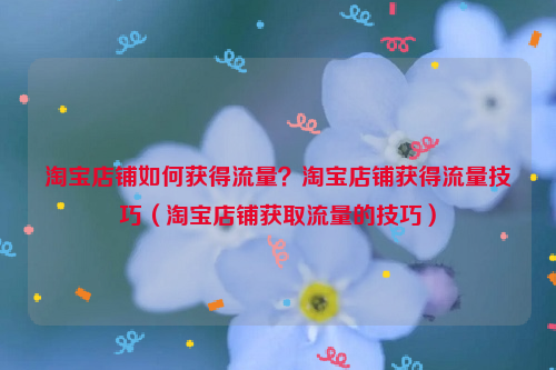 淘宝店铺如何获得流量？淘宝店铺获得流量技巧（淘宝店铺获取流量的技巧）