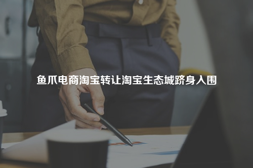 鱼爪电商淘宝转让淘宝生态城跻身入围