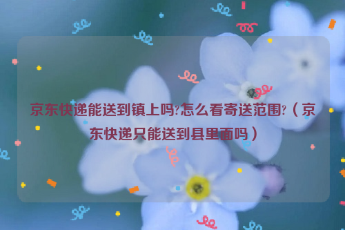 京东快递能送到镇上吗?怎么看寄送范围?（京东快递只能送到县里面吗）