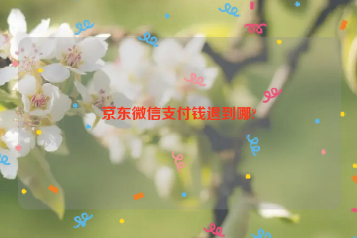 京东微信支付钱退到哪?